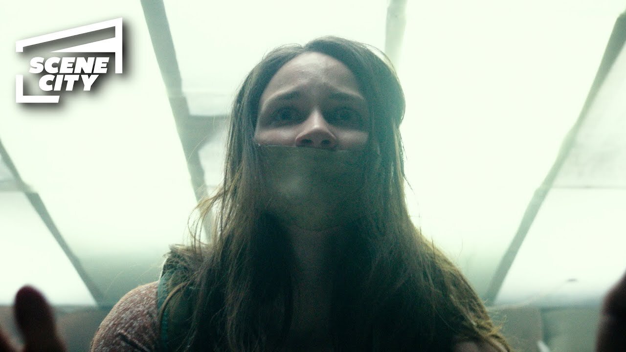 The Woman in the Basement | Don't Breath (Jane Levy, Dylan Minnette, Stephen Lang)