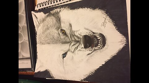 How I Draw Wolves