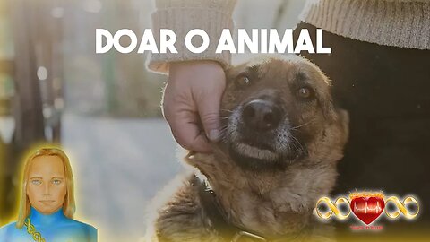 Doação dos Animais