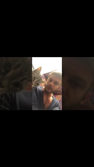 Kitty purrs are the best music