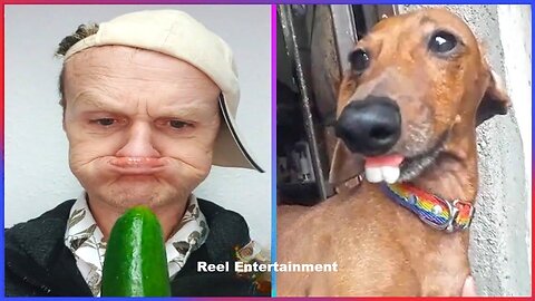 Try Not To Laugh Challenge