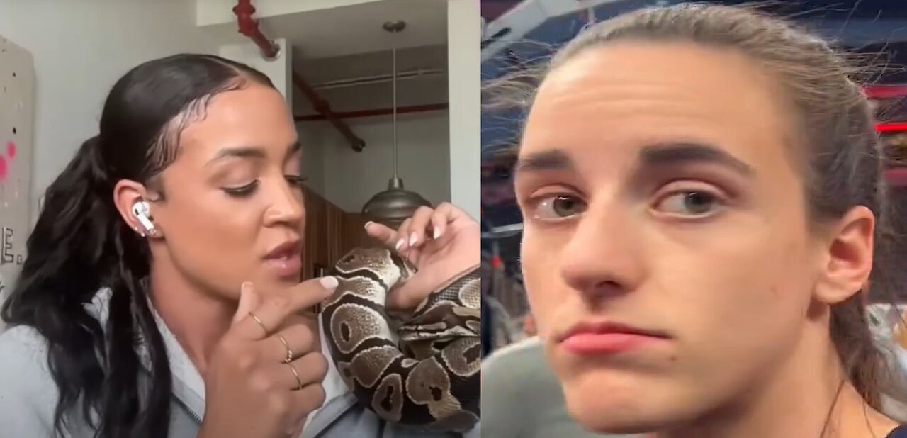 Caitlin Clark Hater Brings Snake To Make A Point + Libtard Media Makes Caitlin Clark Bow?