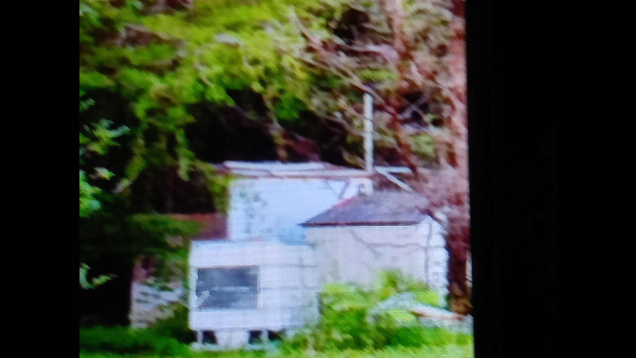 Alphabet group hold up that moved in to take me off web.