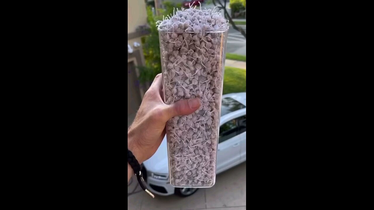 Try not to laugh