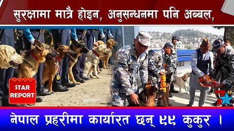 सुरक्षामा मात्रै होइन, अनुसन्धनमा पनि अब्बल, नेपाल प्रहरीमा कार्यारत छन् ९९ कुकुर ।