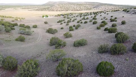 Mavic Mini flying low around the property in AZ