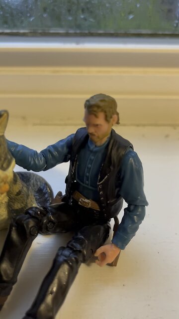 Happy International Cat Day!