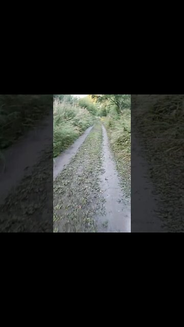 Gave My Road A Brazilian