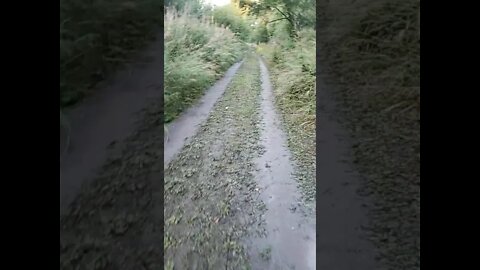 Gave My Road A Brazilian