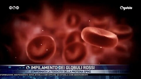 NWO, VACCINI: Effetti Avversi, Spike e Globuli Rossi, Byoblu 5/01/2023