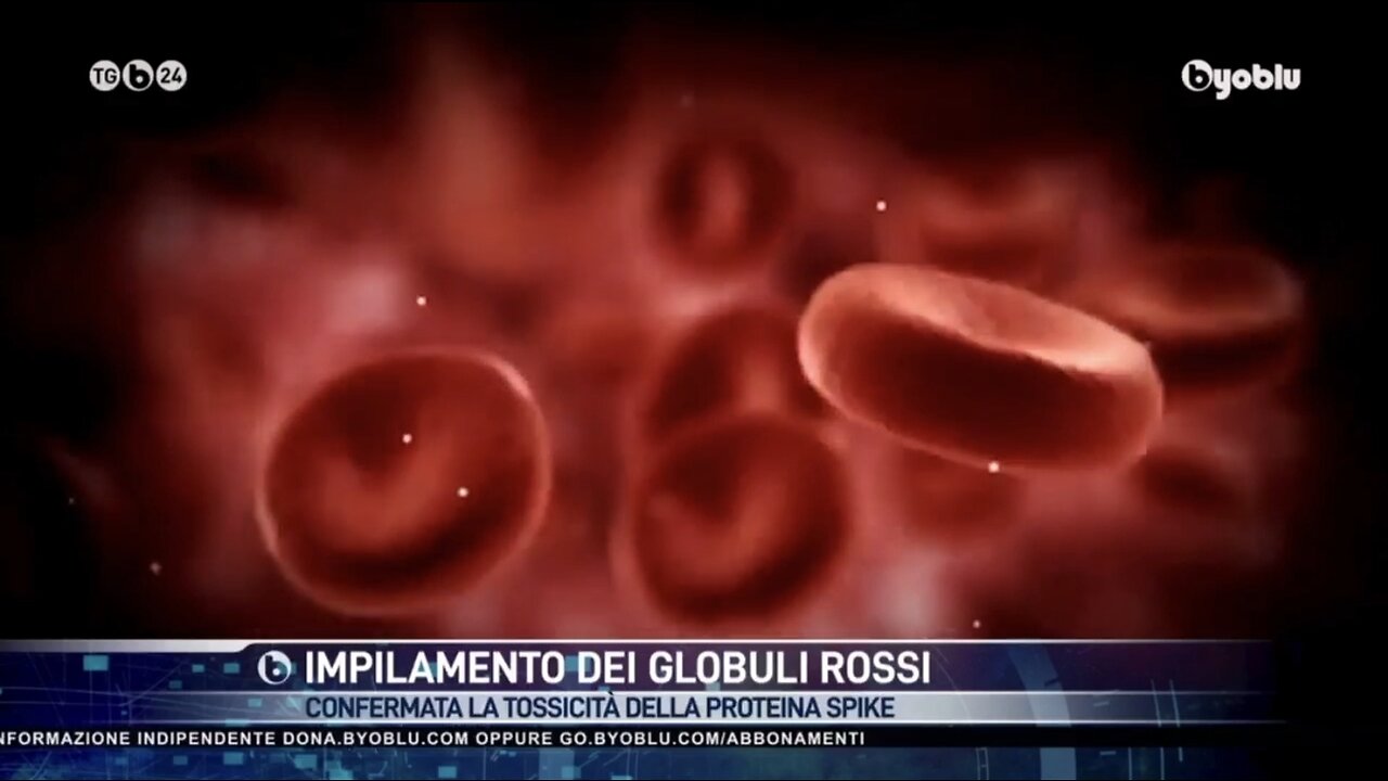 NWO, VACCINI: Effetti Avversi, Spike e Globuli Rossi, Byoblu 5/01/2023