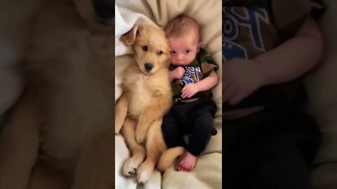 Brothers