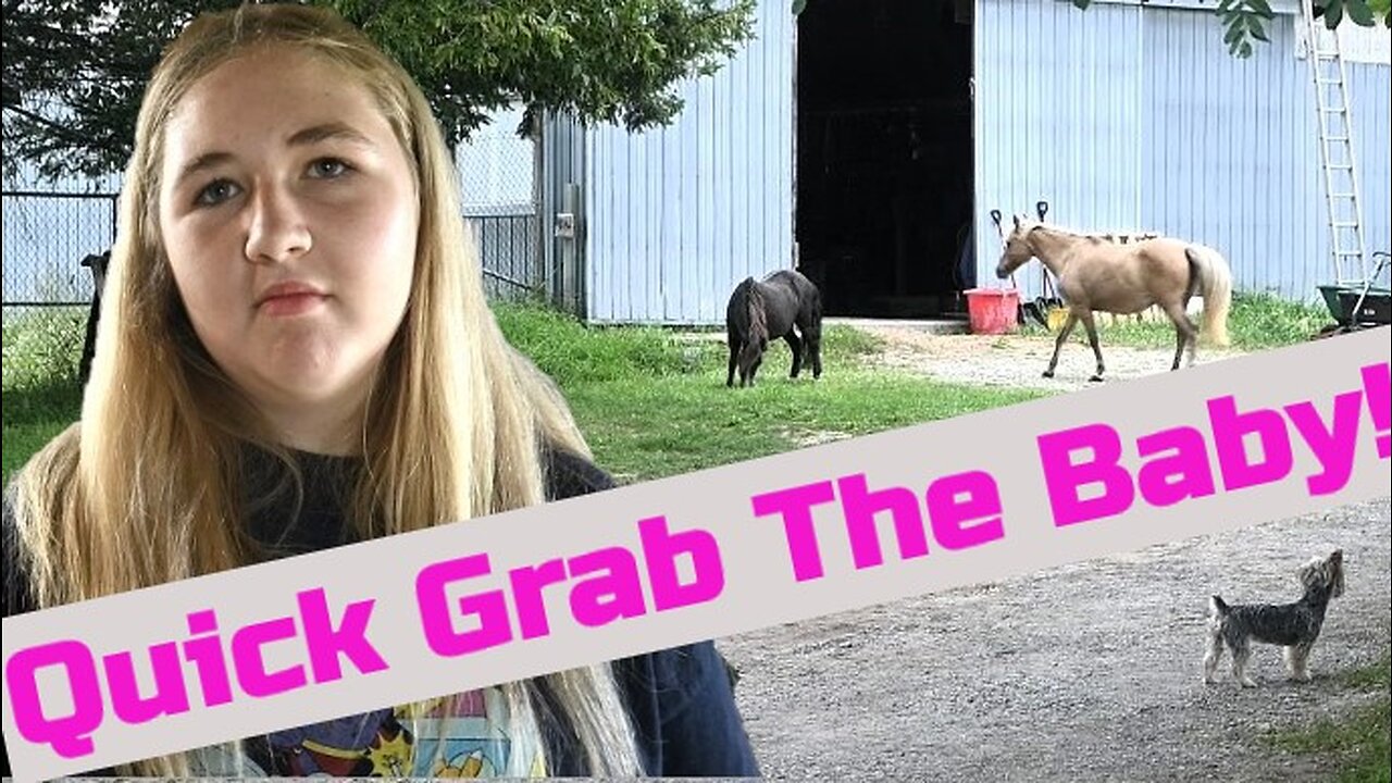 How Did Our Horses Break Free?