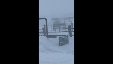 1/4/22 blizzard coming in with below zero temps