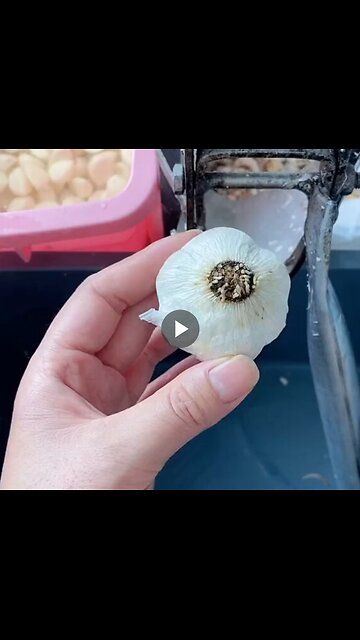 The simplest method for peeling garlic.