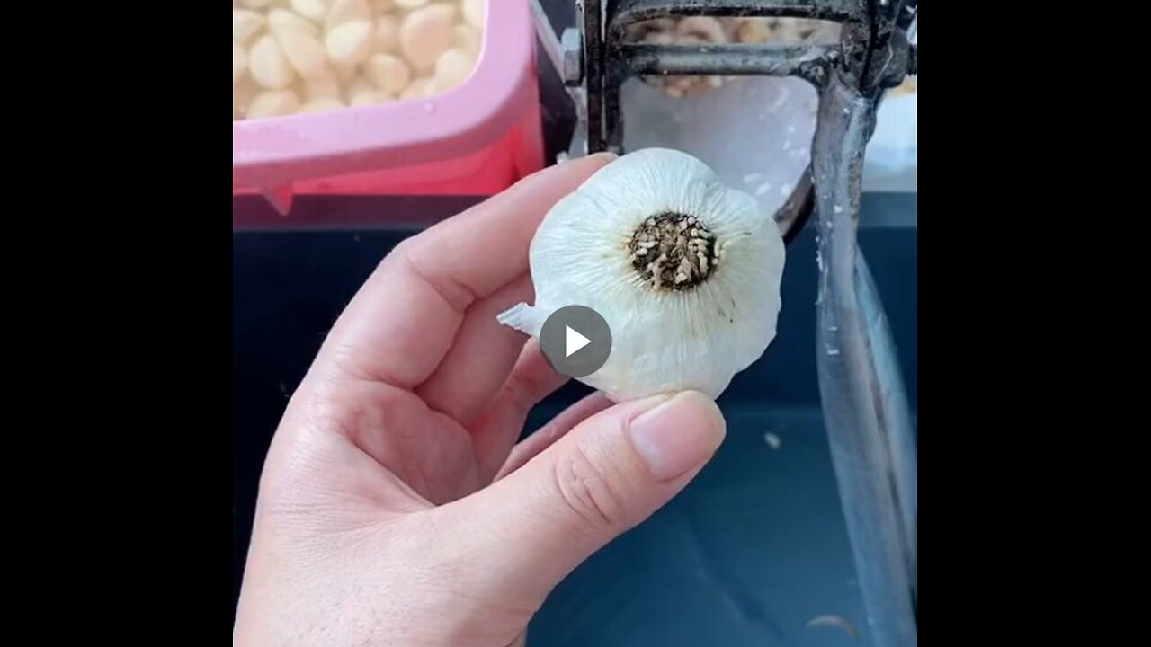 The simplest method for peeling garlic.