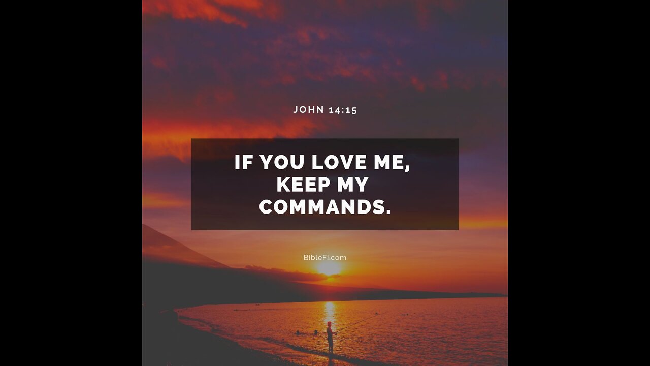 June 14 Devotional - Are there laws you should obey as a believer? - Tiffany Root & Kirk VandeGuchte