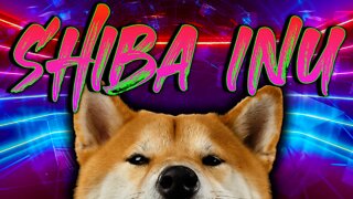 Is Shiba Inu Back?!?!