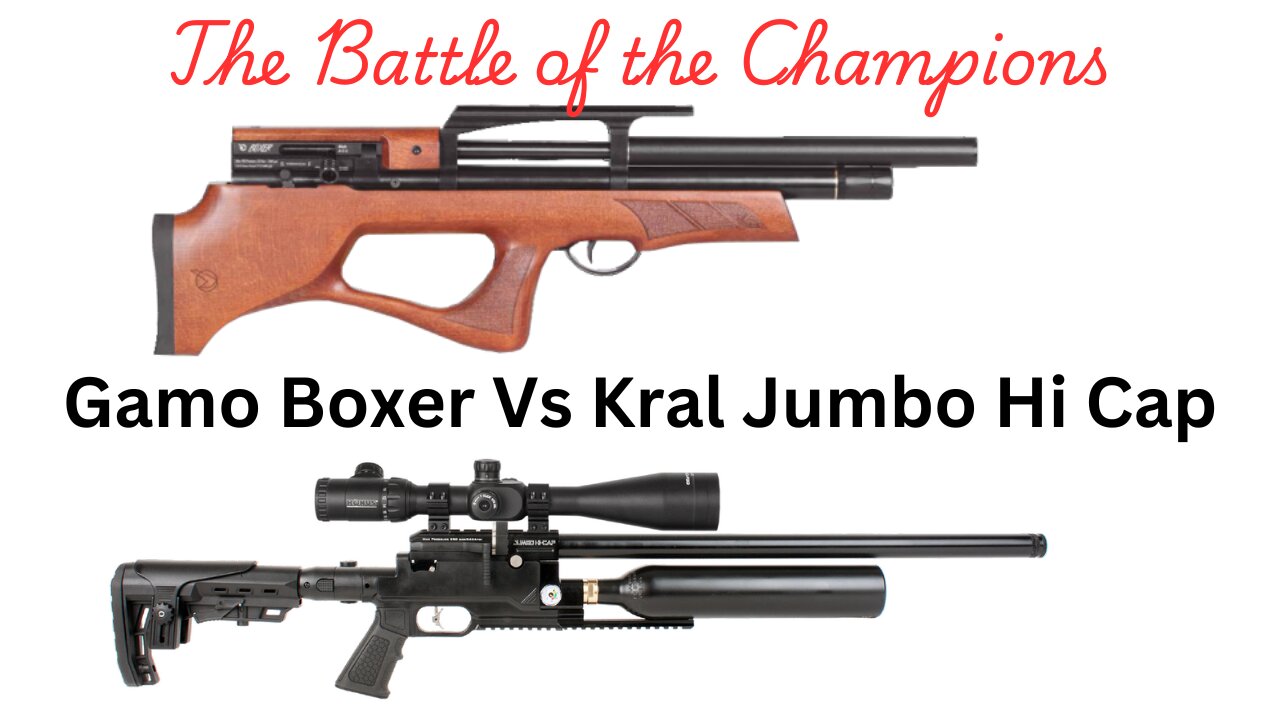 Gamo Boxer Vs Kral Jumbo Hi Cap