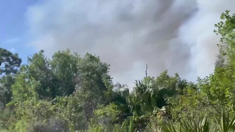 Cape Coral brush fire