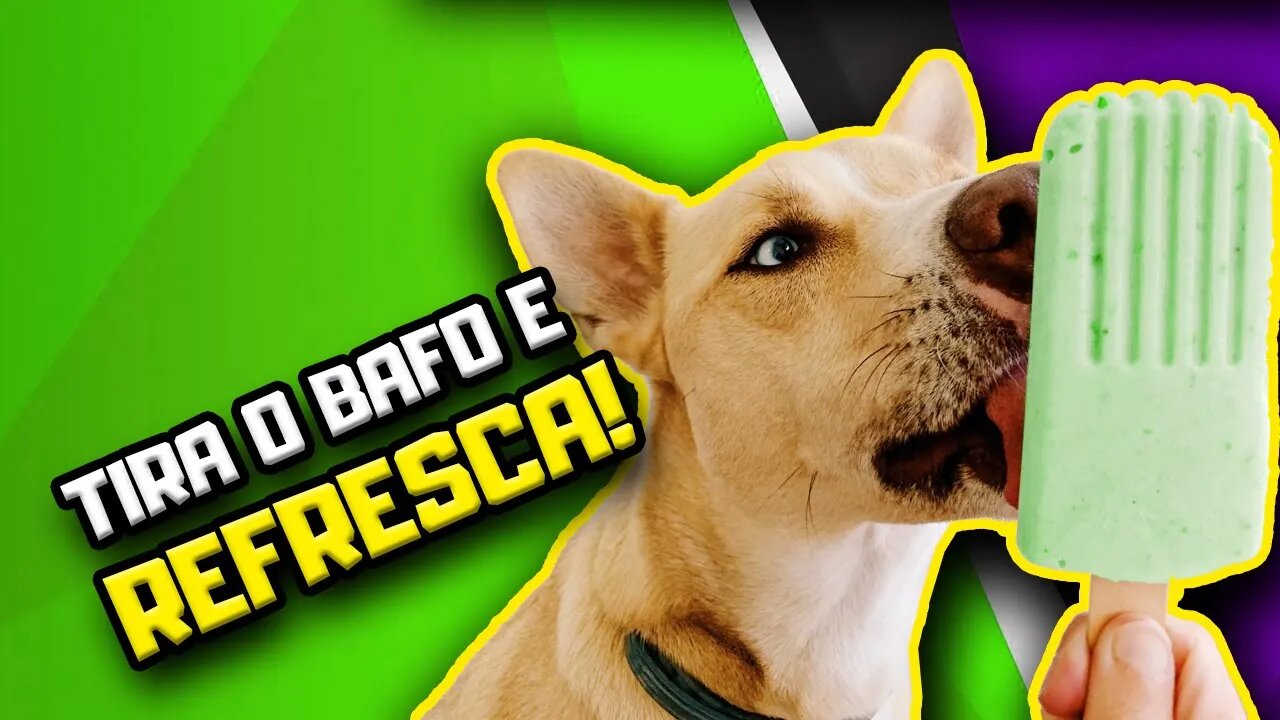 SENSACIONAL: Petisco probiótico CASEIRO para mau hálito de Cachorro | Dr. Edgard Gomes