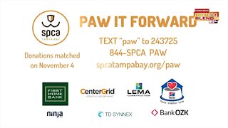 Paw it Forward Campaign | Morning Blend