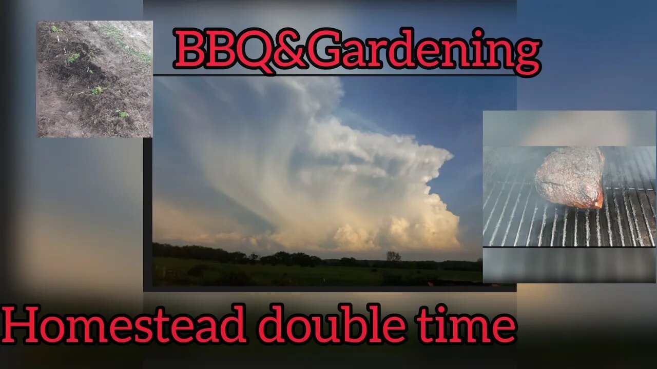 Multi-tasking on the Homestead: BBQ, Gardening, and dodging Storms.
