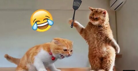 Best funniest animal videos 2023 🤣