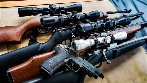 TOP 5 RIMFIRES For the Average Dude #22lr #17hmr #22wmr