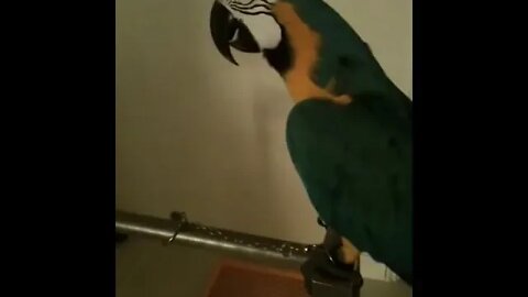 WTF