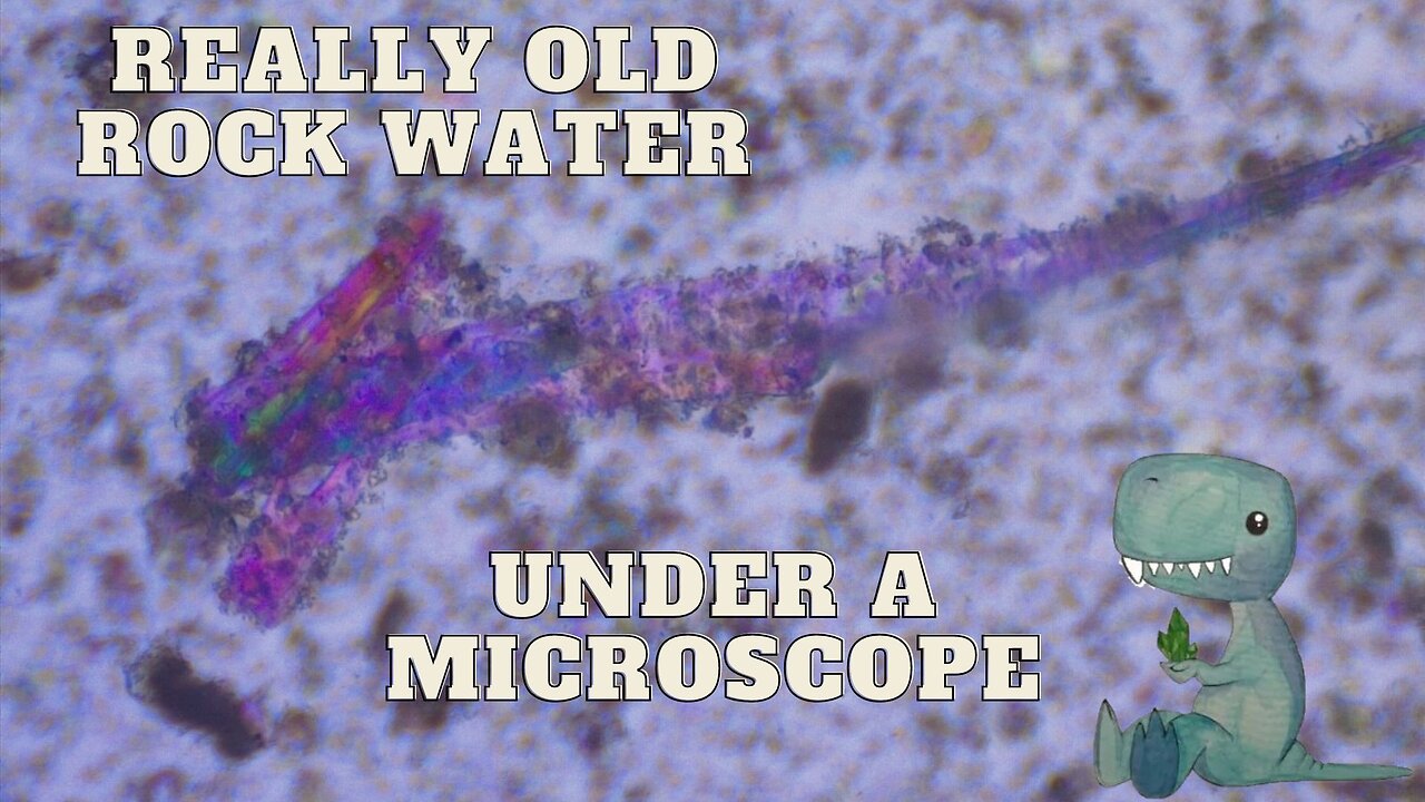 Really Old Water Pulled From a Rock (geode) Under a Microscope!