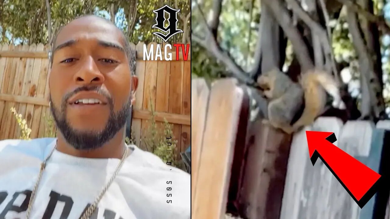 Omarion Interrupts His Singing To Encounter Huge Squirrel In His Backyard! 🐿