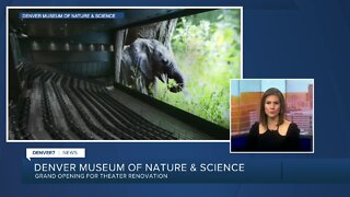 DMNS grand opening for new theater