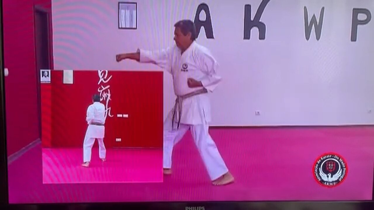 Nonoyama Karate Wado - Kata Pin An Ni Dan