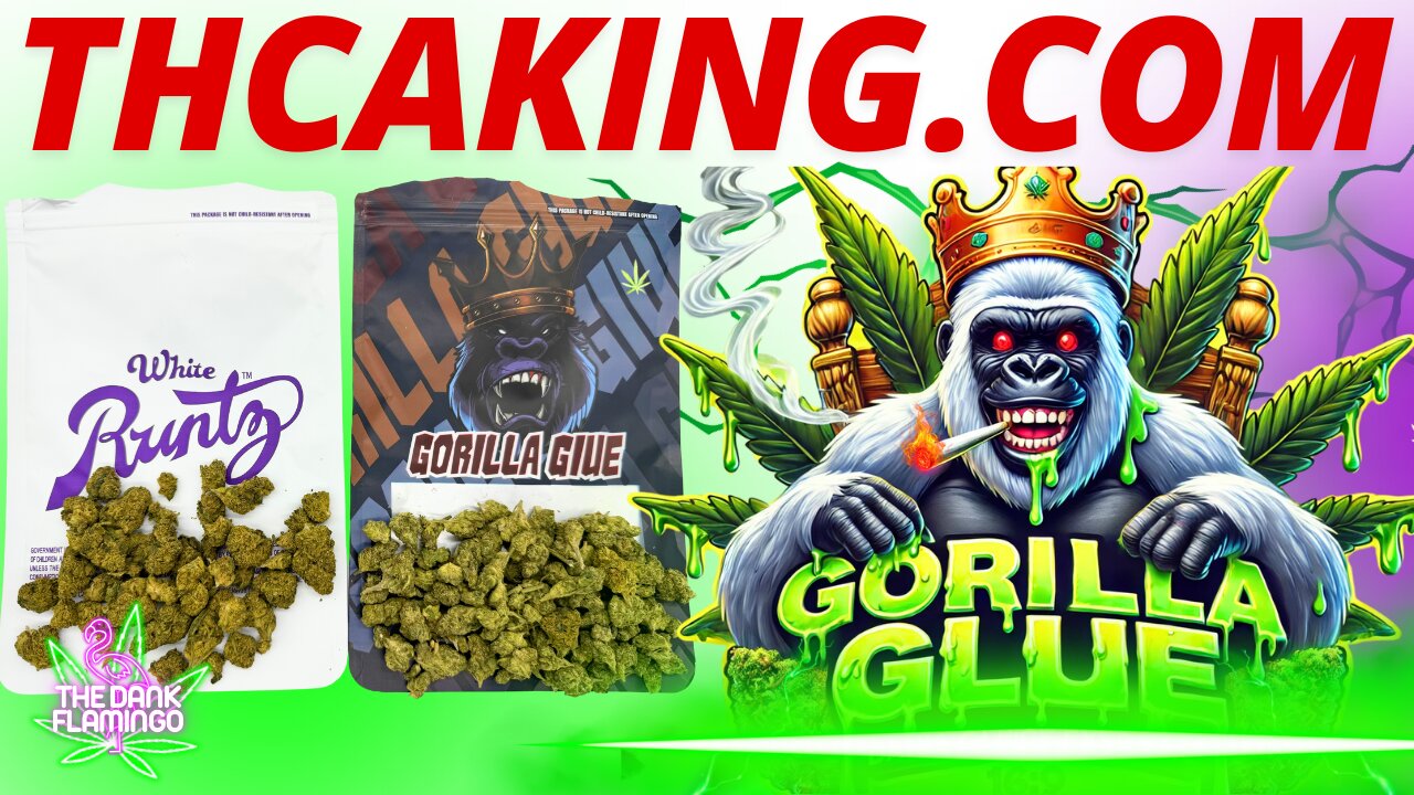 Tyrying Gorilla Glue & White Runtz THCa from THCAKING!! The Dank Flamingo Cannabis Review!!