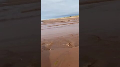 Bumpy stream at the beach