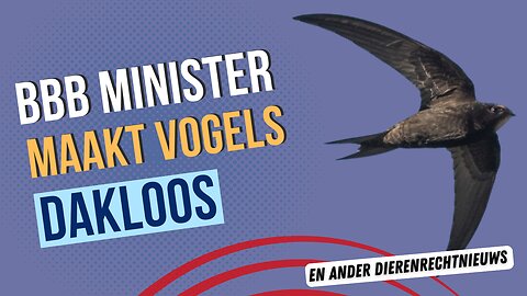 Dierenrecht nieuws 9 december 2024