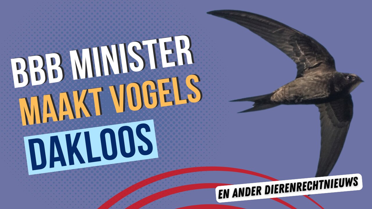 Dierenrecht nieuws 9 december 2024
