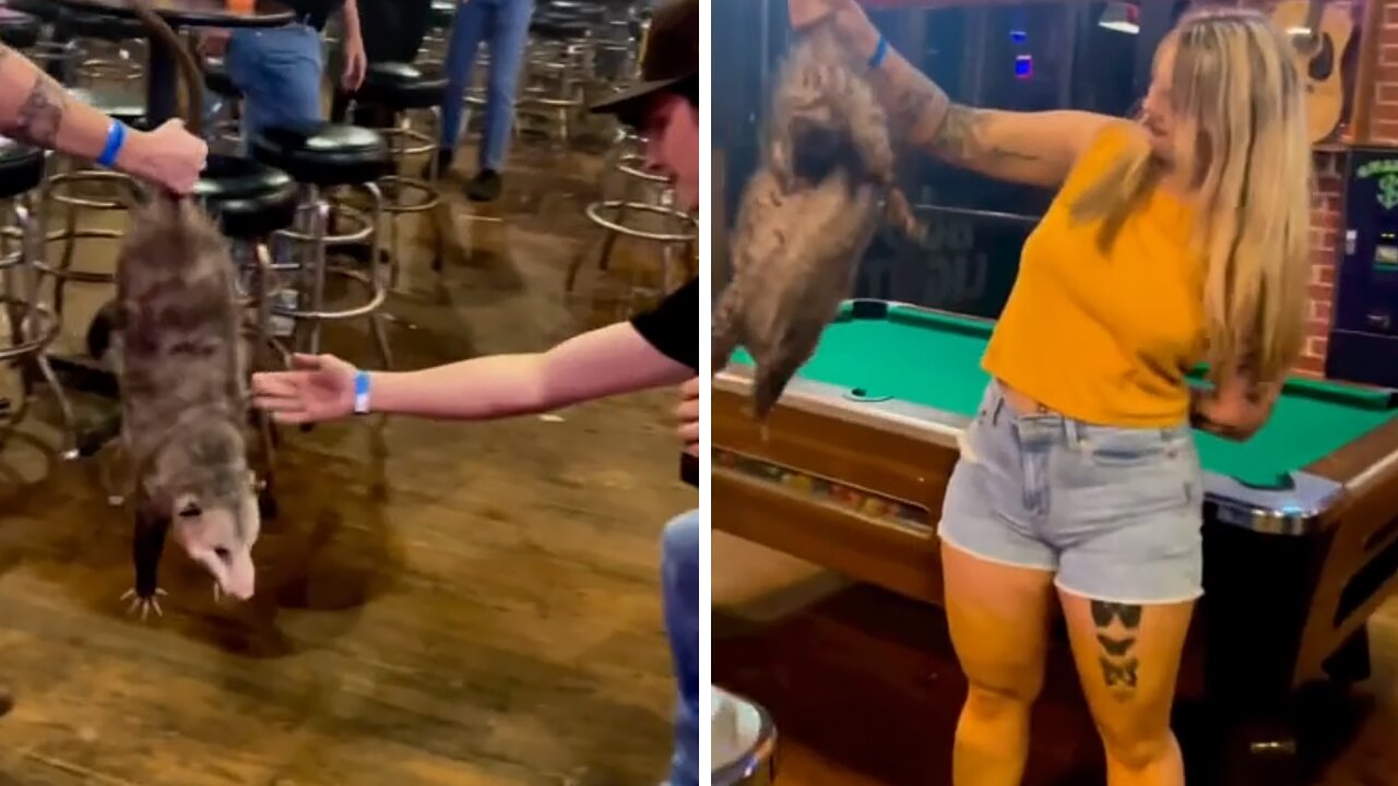 Bare-handed Southern girl fearlessly takes opossum out of bar