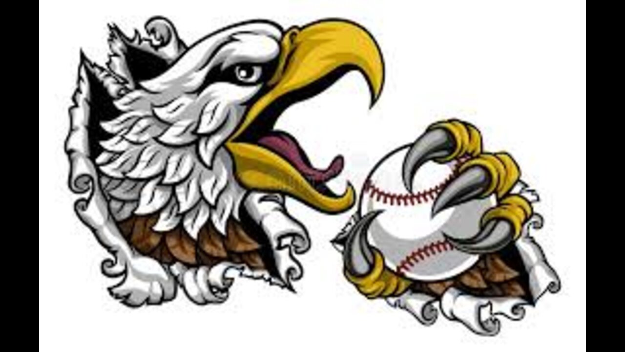 BIRD -ATTACKS A BASE BALL PLAYER
