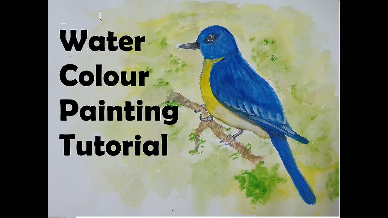 Blue bird painting on 150GSM paper using Water Color | painting for Beginners