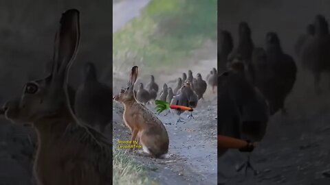 Cool animation