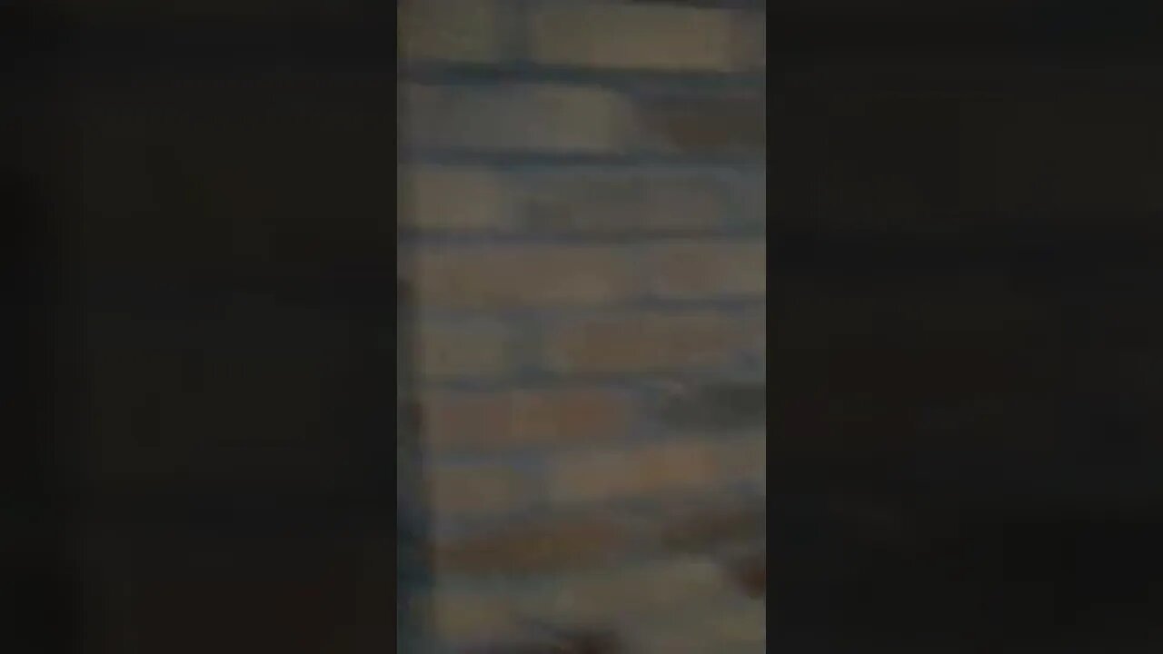 The #gangstalking network sent this demon over here. Pt. 1