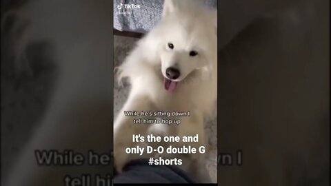 It's the one and only D-O double G #shorts