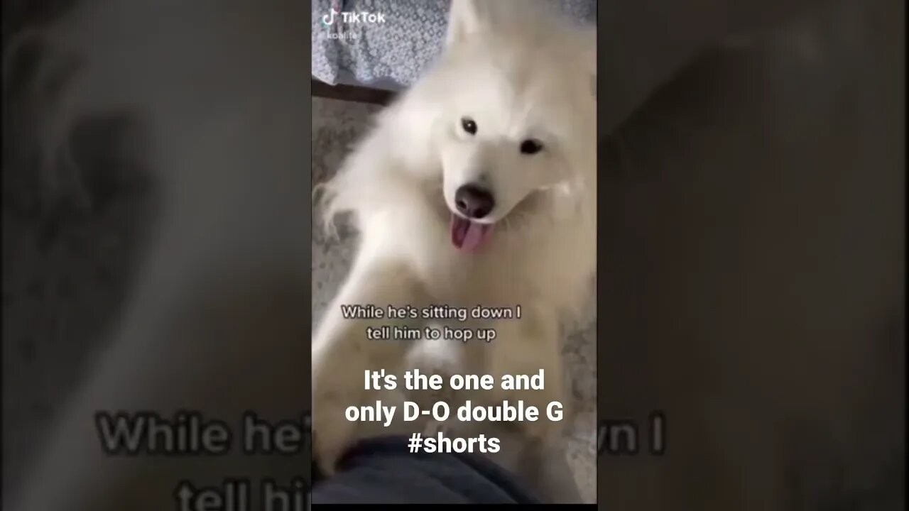 It's the one and only D-O double G #shorts