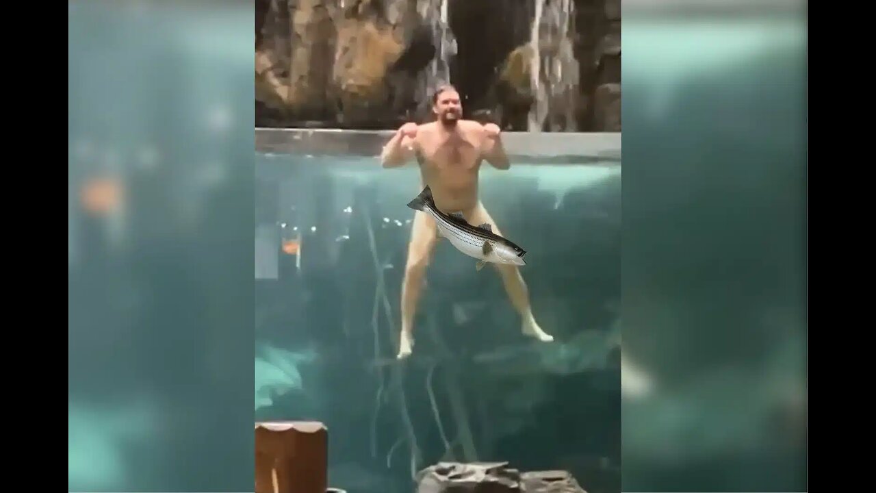 Nutless Wonder Goes Swimming in Bass Pro Shop's Fish Tank