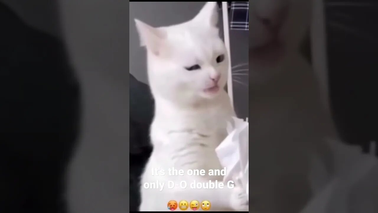 It's the one and only D-O double G #shorts