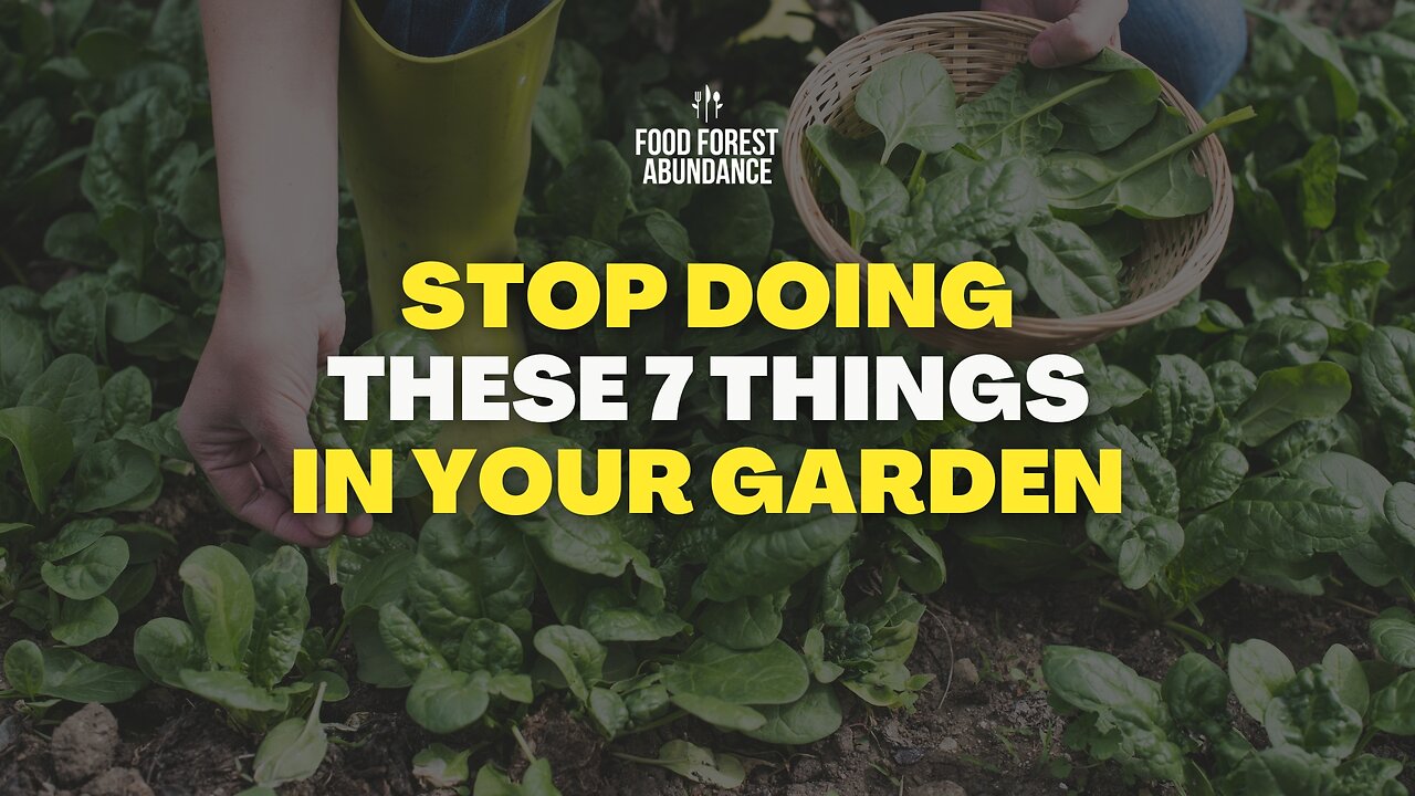 Stop doing these 7 things in your garden