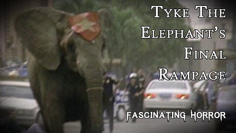 The Final, Fatal Rampage of Tyke the Elephant | Fascinating Horror