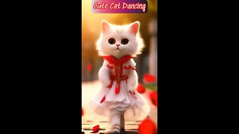 Cute Cat Dancing